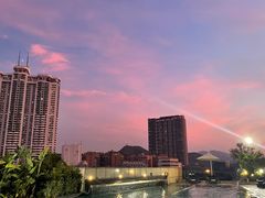 -深圳君悦酒店-游泳池