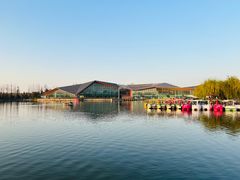 -上海长兴岛郊野公园