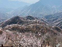 -大岭沟猕猴桃谷风景区