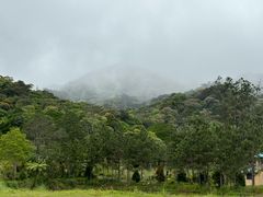 -海南热带雨林国家公园吊罗山景区