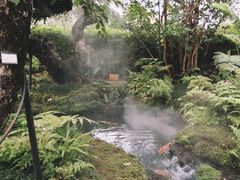 -Chom Cafe and Restaurant