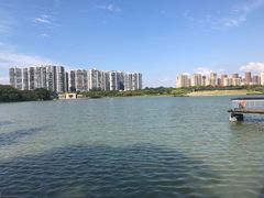 -白塘生态植物园