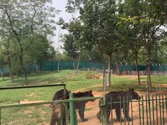 -秦皇岛野生动物园