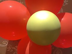 -沪碟·精菜坊(闵行店)