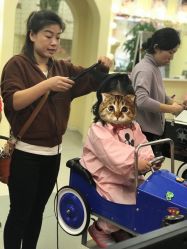 -GOLDEN HAIR儿童造型设计(丁香国际店)