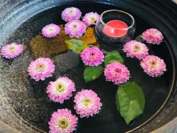 -素可SPA
