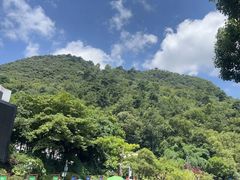 -黔灵山公园