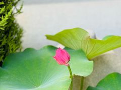 -滴水坊(星云文教馆店)