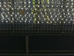 -Sirena海妖日咖夜酒