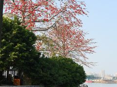 -喜洲吧·江畔老船厂·庭院餐厅(喜临院店)