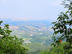 -北京西山国家森林公园