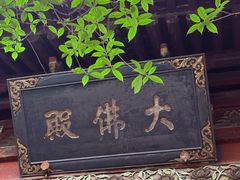 -洛阳白马寺