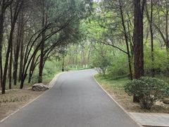 -千佛山风景名胜区
