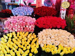 -越秀西湖花市(广州城市广场花卉店)
