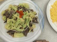 -姚林轩