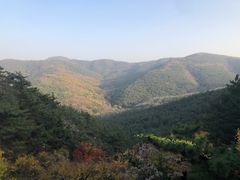-金龙寺国家森林公园