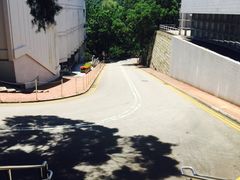 -大埔公路-马料水段香港中文大学(公交站)