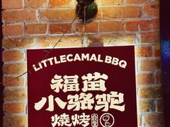 -福苗小骆驼烧烤(莲湖路店)