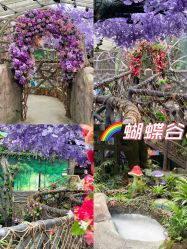 -欢乐舟·舟舟玩乐园