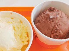 -iceason爱茜茜里·意大利健康冰淇淋(骑龙巷店)
