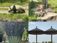 -宁波野生动物园