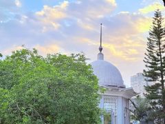 -達揚原味燉品(文明路店)