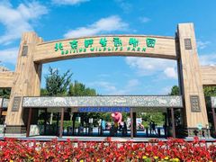 -北京野生动物园