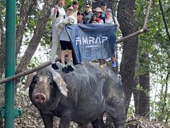 -AMRAP综合体能训练