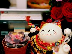 -永記粤菜·五指毛桃花雕鸡煲(九亭店)