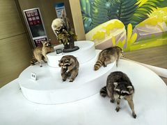 -陕西自然博物馆