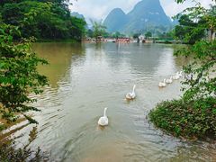-靖西鹅泉风景区