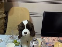 -剧狐剧本杀·月球探案馆(人民广场1号店)