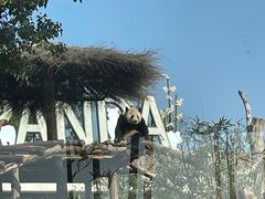 -武汉动物园