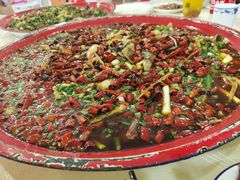 -东吴霸王兔(松青路店)