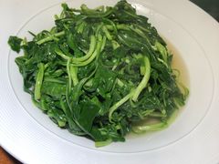 清炒马兰头-魏铭鱼头捞饭(晋阳路店)