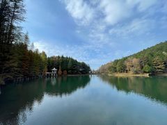 -四明山国家森林公园