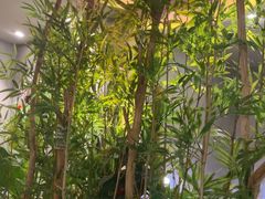 -施奈儿.洗头頭療.按摩SPA.采耳(上梅林店)