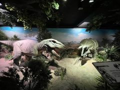 -国家自然博物馆