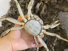 -八仔大富楼·河鲜(西江店)