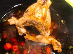 -销魂美蛙鱼头火锅(上海首店)
