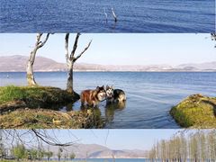 -大理洱海