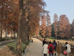-东湖磨山景区