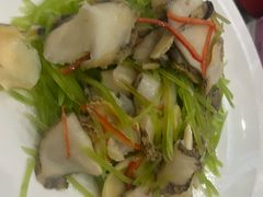 -丽苑大酒店