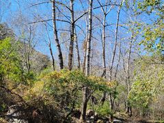 -玉渡山自然风景区