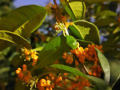 -杭州城北体育公园