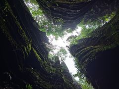 -梭布垭石林景区