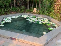 -清远熹乐谷温泉度假酒店
