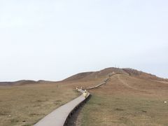 -塞罕坝国家级自然保护区