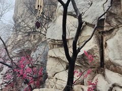 -黑龙潭风景区