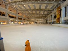 -冠军冰场CHAMPION RINK(中华城店)